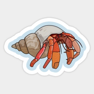 Hermit crab cartoon illustration Sticker